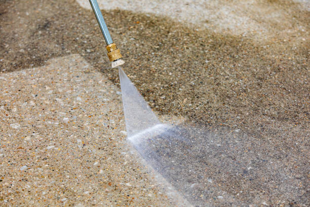 Best Pre-Holiday Cleaning  in Sidney, OH